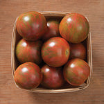 Plants, Tomatoes - Purple Bumble Bee Cherry - PRE-ORDER