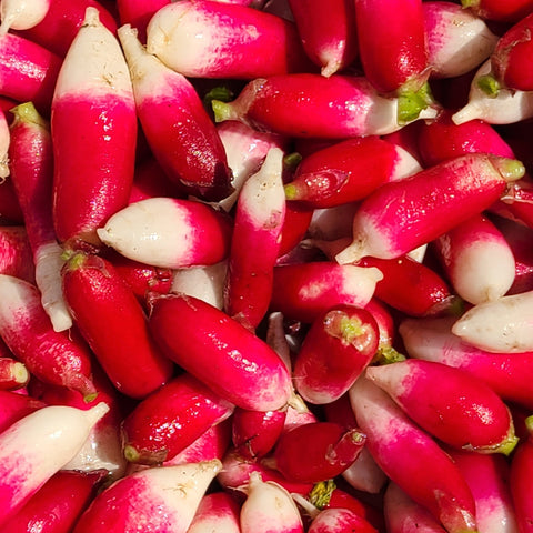 Radishes - bunch