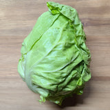 Cabbage, Green - Head