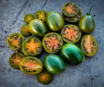 Plants, Tomatoes - Green Olive Cherry - PRE-ORDER