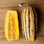 Honey Delicata, Winter Squash - Each