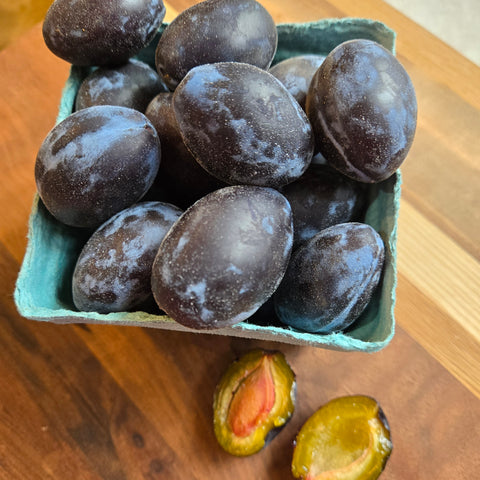 Italian Plums - 1 pint
