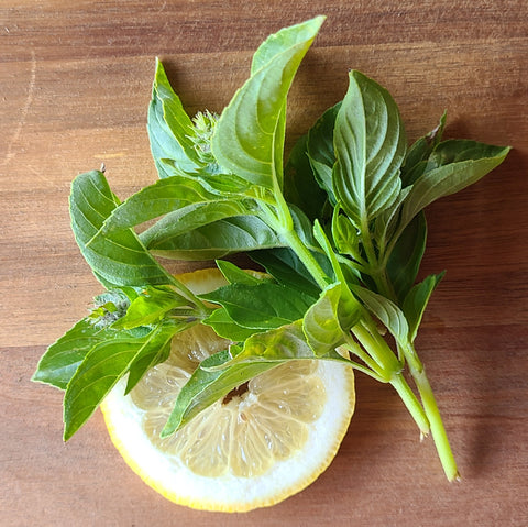 Basil - Lemon Basil (slip-pack)