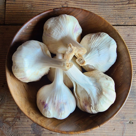 Garlic - Red Toch, Culinary