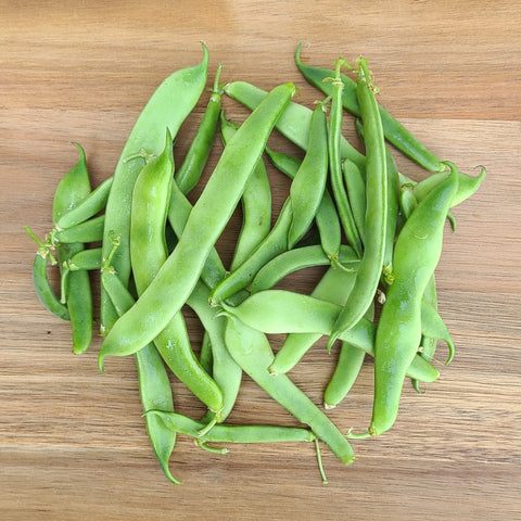 Romano Beans - 1 lb.