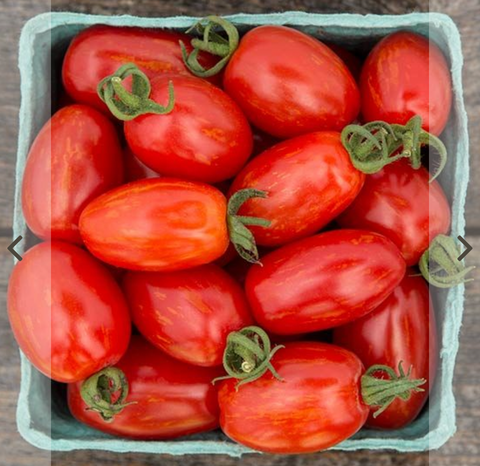 Plants, Tomatoes - Super Nova Cherry - PRE-ORDER