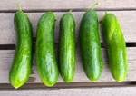 Cucumbers, Persian - 1 lb.