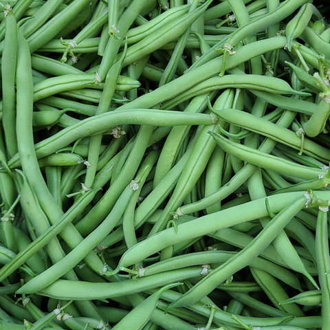 Green Beans - bulk, 10 lbs