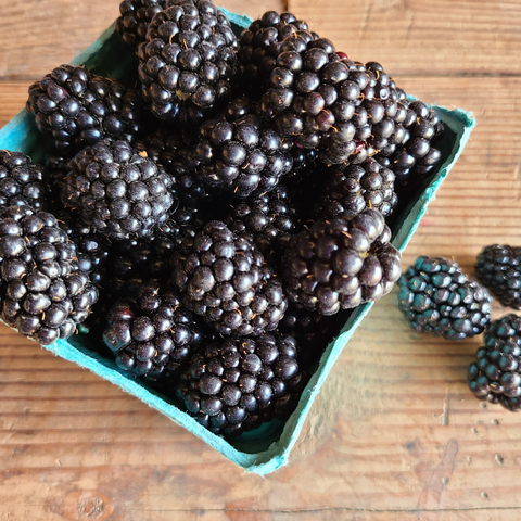 Blackberries - pint