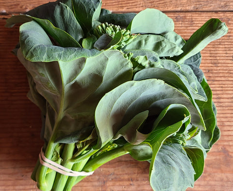 Chinese Broccoli, bunch