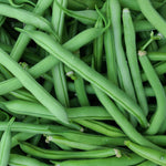 Green Beans - 1 lb.