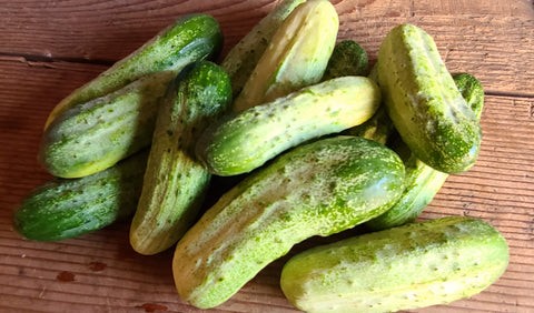 Cucumbers, pickling -  2 lbs