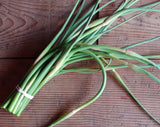 Garlic Scapes