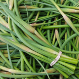Garlic Scapes
