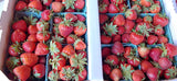 Strawberries - Flat - Monday's picking 6/8